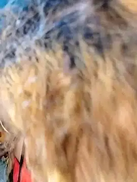 hemilynthomas2467 online show from 1, 2, 2026