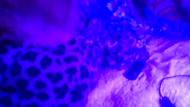 Snapshot of prettymaa chatting on 19, 2, 2026 prettymaa online show from 19, 2, 2026