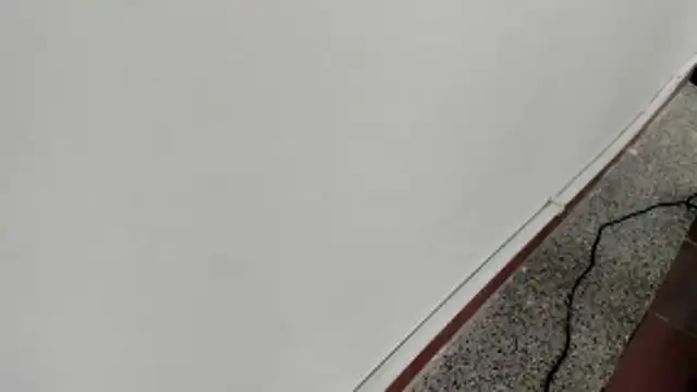 michelle perla online show from 15, 1, 2026