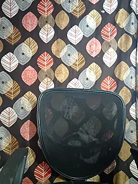 telugu pellam online show from 28, 2, 2026