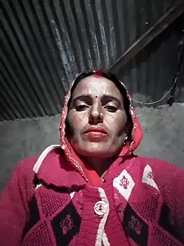 Jalebi bay online show from 15, 11, 2025