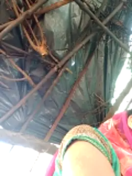 Snapshot of H_seema chatting on 12, 4, 2026 H seema online show from 12, 4, 2026
