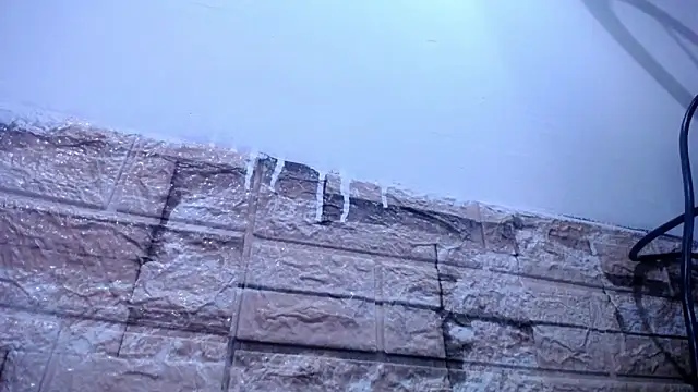 Bicky 24 online show from 4, 4, 2026