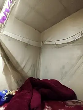 siki-00 online show from 15, 2, 2026