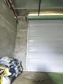 siki-00 online show from 3, 3, 2026