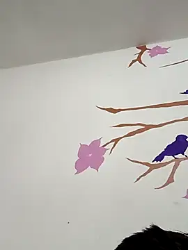 DavidVergagigante420 online show from 5, 2, 2026