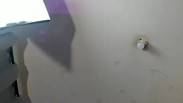 Ambeer fox  online show from 23, 2, 2026