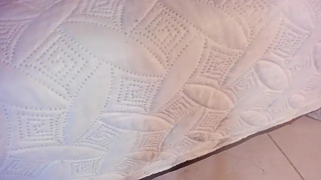 Ambeer fox  online show from 26, 3, 2026