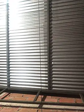 elpeluchenegroxxx3 online show from 13, 2, 2026