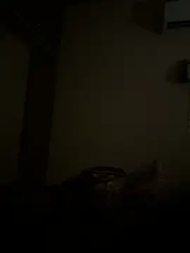 Chaitu-teluguhot online show from 16, 12, 2025