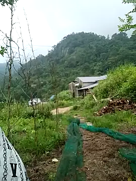 keobong-00 online show from 14, 9, 2025