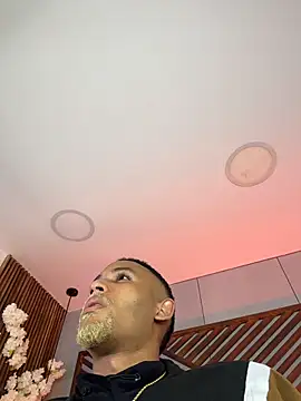 B Wild online show from 3, 2, 2026