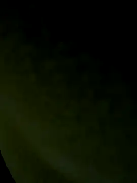 Wild-Nayra online show from 19, 10, 2025