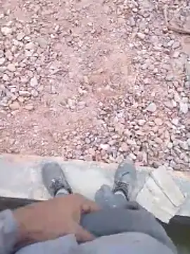 haryanaboypanipat12 online show from 2, 4, 2026