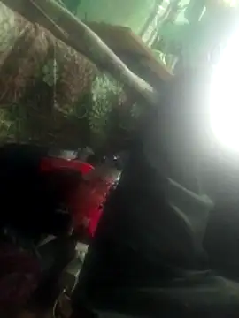 haryanaboypanipat12 online show from 16, 4, 2026