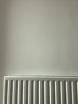 dlasian2026 online show from 31, 10, 2025