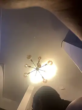 SienaWild online show from 2, 11, 2025