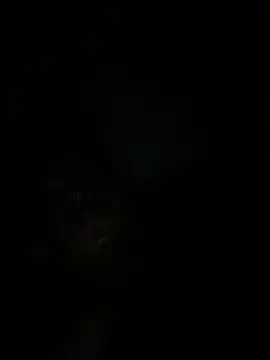 Snapshot of RangingWarranty chatting on 20, 10, 2025 RangingWarranty online show from 20, 10, 2025