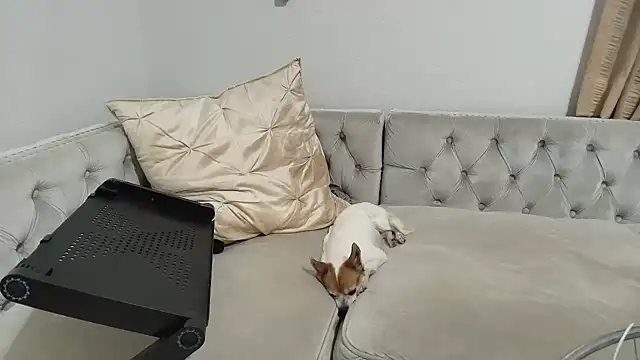 BarbieKarly online show from 1, 12, 2025