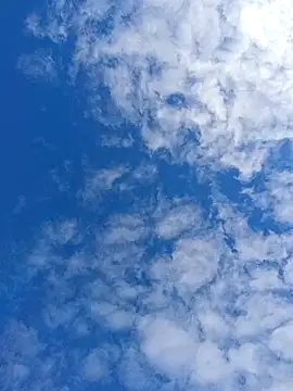 matatan0323 online show from 13, 4, 2026