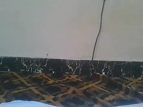 Naughty queen20 online show from 13, 4, 2026