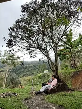 Snapshot of sky-wolves chatting on 18, 10, 2025 sky-wolves online show from 18, 10, 2025