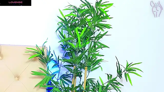 CoraVex online show from 16, 9, 2025