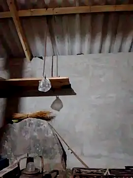 donna-bae online show from 26, 10, 2025