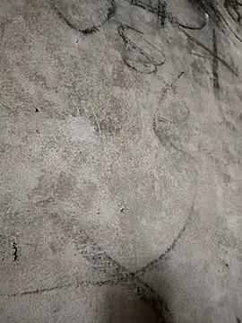 tulipsexy online show from 2, 3, 2026