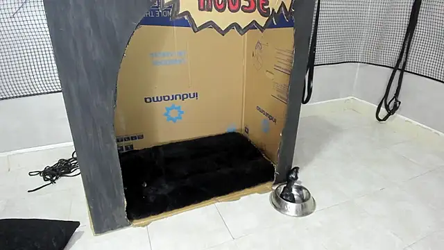 BDSM MEDUZA online show from 13, 2, 2026