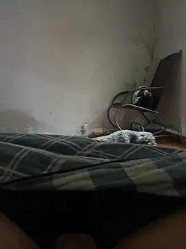 sambergSILVa online show from 8, 11, 2025