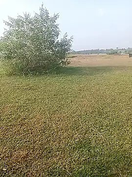 AgitatedStrip9 online show from 1, 10, 2025