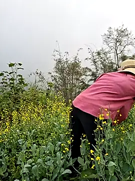 diamond-- online show from 29, 3, 2026