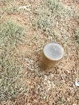 Snapshot of telugumodda4396 chatting on 6, 10, 2025 telugumodda4396 online show from 6, 10, 2025