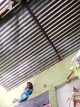 Haliya88 online show from 24, 3, 2026