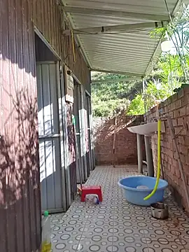 Helen-Tran online show from 26, 11, 2025