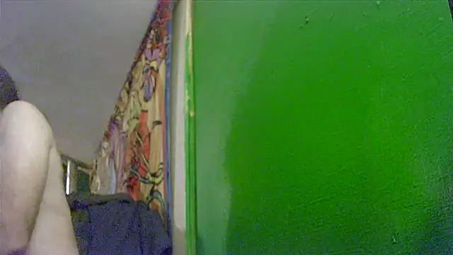 Snapshot of HippieDad333 chatting on 25, 11, 2025 HippieDad333 online show from 25, 11, 2025