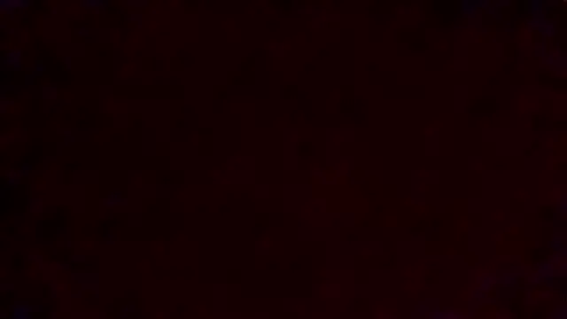 tora3220 online show from 5, 4, 2026