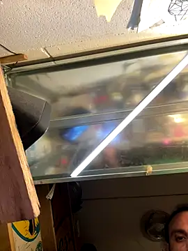 spino24 online show from 28, 9, 2025