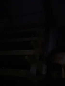 spino24 online show from 4, 4, 2026