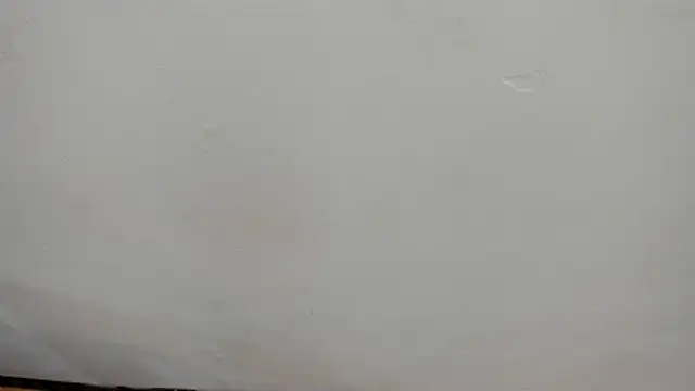 celestebellmont online show from 17, 3, 2026