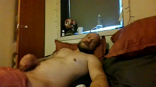 Real viking online show from 2, 12, 2025