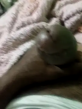 Snapshot of sam_salman chatting on 9, 2, 2026 sam salman online show from 9, 2, 2026