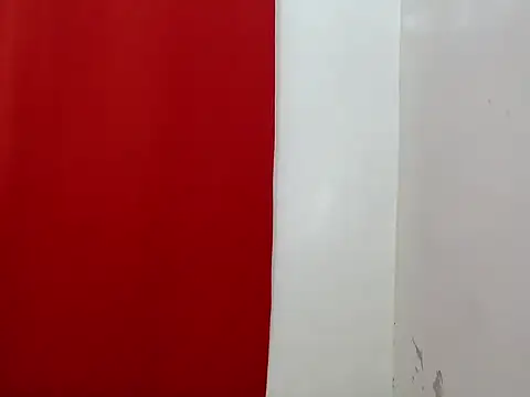 Snapshot of amandareddragon chatting on 21, 11, 2025 amandareddragon online show from 21, 11, 2025