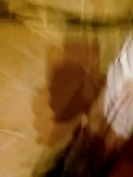 Apeesynka55211 online show from 11, 3, 2026