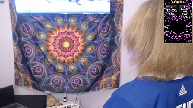 cinderellie online show from 27, 11, 2025