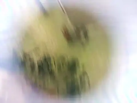 Masha412111 online show from 22, 10, 2025