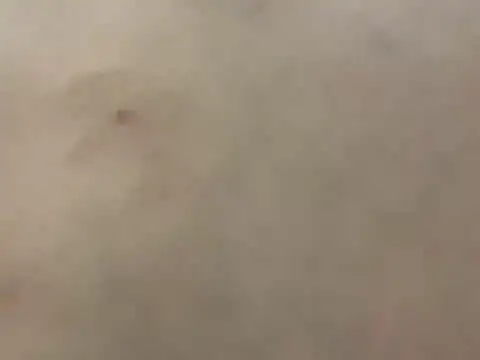 pleasedontpressaredburton online show from 28, 2, 2026