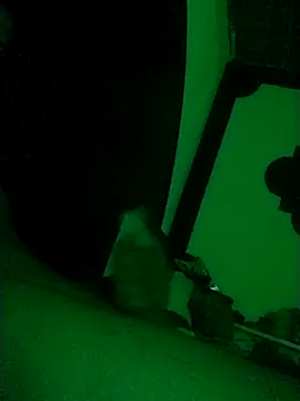 Buddha289 online show from 22, 2, 2026