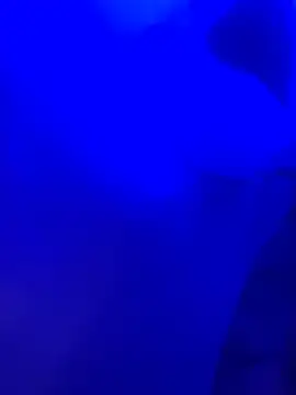 Dammianmiller online show from 24, 2, 2026